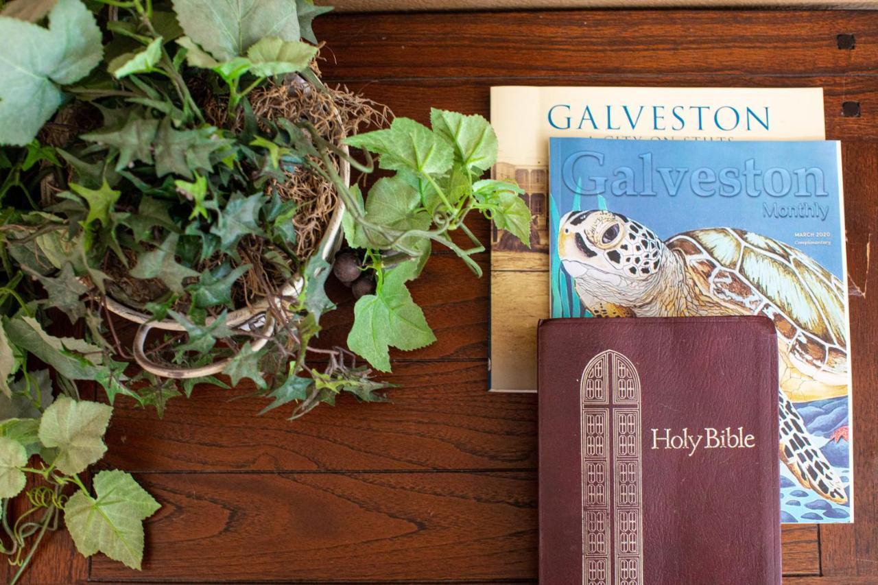 Relax At Our Beach Haven - Pet Friendly Galveston Exterior foto